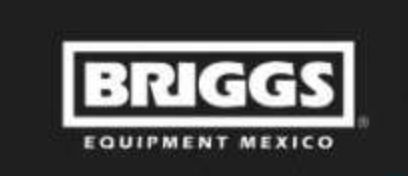 Briggs