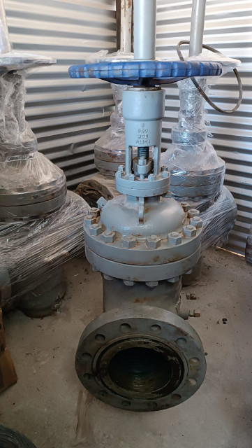 REFACCIONES VÁLVULA DE COMPUERTA 8" 600# RTJ