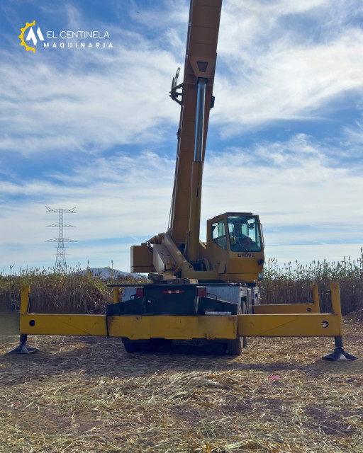 GRúA TELESCóPICA 1995 GROVE TMS750B 50 TON